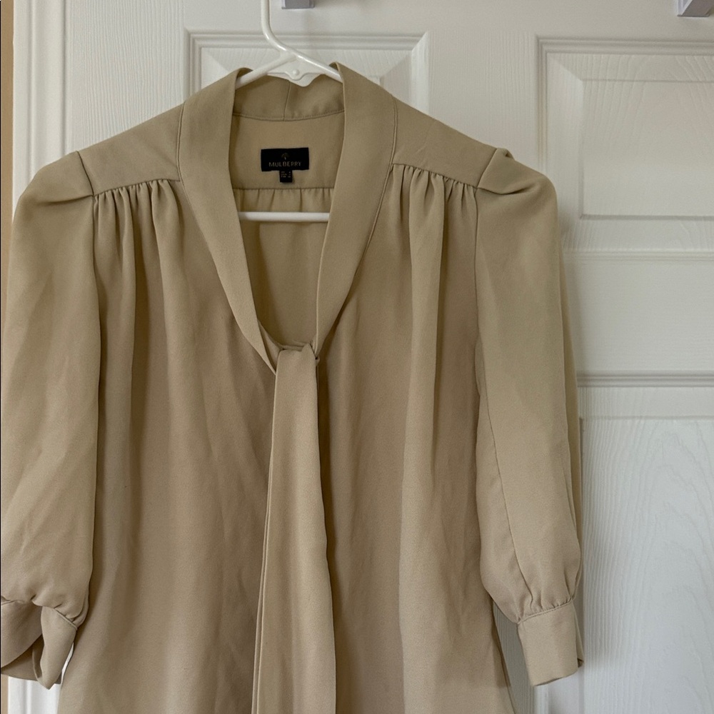 Mulberry Cream Blouse with Elegant Design